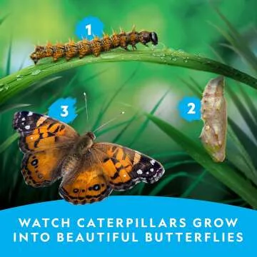 Nat Geo Caterpillar Kit: Grow Your Own Butterflies