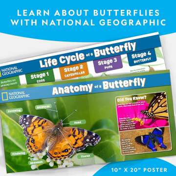 Nat Geo Caterpillar Kit: Grow Your Own Butterflies