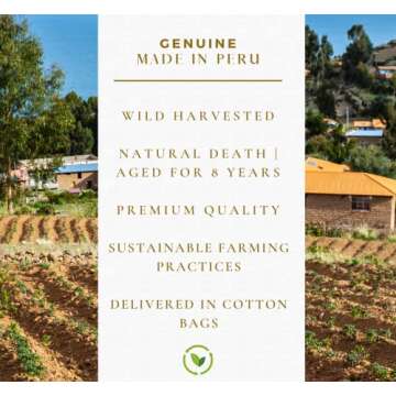 Golden Chakra Palo Santo Sticks - (100 Grams) | Premium Palo Santo | Wild Harvested | High Resin Wood | from Peru (Approximately 10-15 Sticks) | Yoga | Meditation | Relaxation | Stress Relief