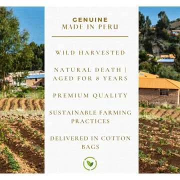 Golden Chakra Palo Santo Sticks for Meditation & Yoga