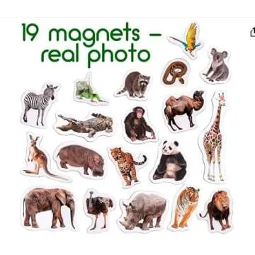 magdum 19 Fridge Magnets for Toddlers Zoo Photo Kids Magnets for Fridge - Toddler Magnets for Refrigerator - Magnetic Animals - Fridge Magnets for Kids - Animal Magnets - Toddler Fridge Magnets