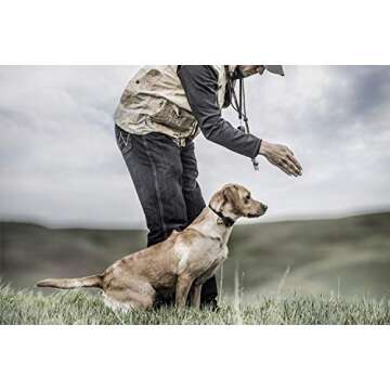 SportDOG Electric Dog Collar - Waterproof, 500 Yard Range