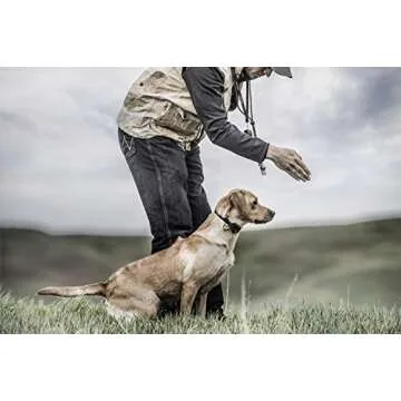 SportDOG Electric Dog Collar - Waterproof, 500 Yard Range