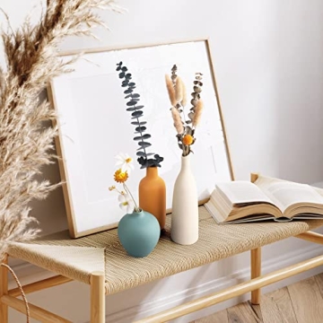 Colorful Ceramic Vase Set of 3 - Modern Home Decor