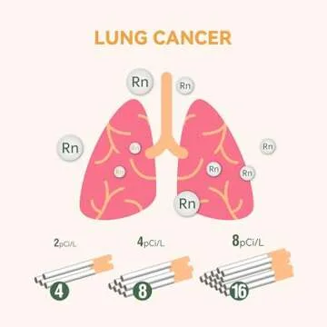 Cradtec Digital Radon Detector III, White, Radon Monitor, Radon Meter, Tempered Glass, Short Term and Long Term Result, Portable, Easy to Use, 3 AAA Batteries, Switchable Between Bq/M3 and pCi/L