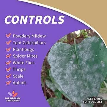 Bonide Insecticidal Soap, 32 oz Ready-to-Use Spray Multi-Purpose Insect Control for Organic Gardening Indoor and Outdoor