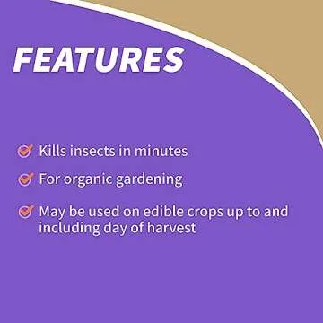 Bonide Insecticidal Soap, 32 oz Ready-to-Use Spray Multi-Purpose Insect Control for Organic Gardening Indoor and Outdoor