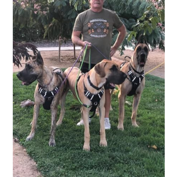 MayPaw Nylon Rope Leash with Padded Handle for Dogs