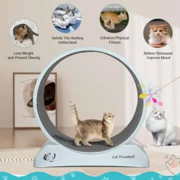 Primachen Cat Exercise Wheel - Perfect for Indoor Cats