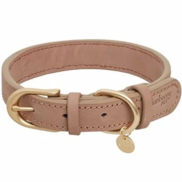 Blueberry Pet Stylish Genuine Leather Adjustable Dog Collar for Small Dogs - Beige (Size: 12"-15")