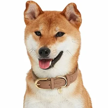 Blueberry Pet Leather Adjustable Dog Collar - Small, Beige, Stylish