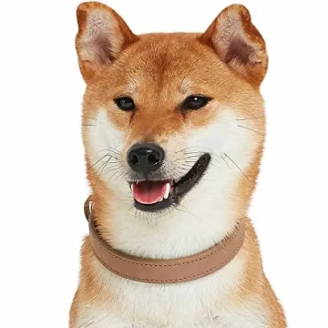 Blueberry Pet Leather Adjustable Dog Collar - Small, Beige, Stylish