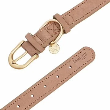 Blueberry Pet Leather Adjustable Dog Collar - Small, Beige, Stylish