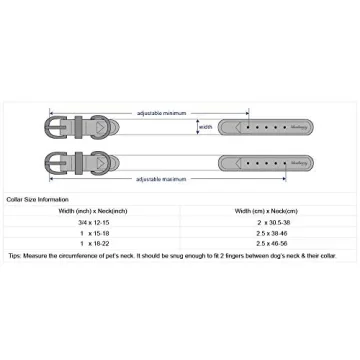 Blueberry Pet Leather Adjustable Dog Collar - Small, Beige, Stylish