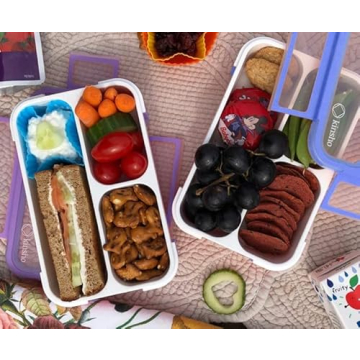 Kinsho Mini Bento Snack Containers Set for Kids and Adults