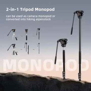 Cayer FP2450 Fluid Head Tripod, 75 inches Aluminium Video Tripod, 4-Section Compact Camera Tripod Monopod with Fluid Head for DSLR Camera, Camcorder, Load Capacity up to 13.2 Pounds