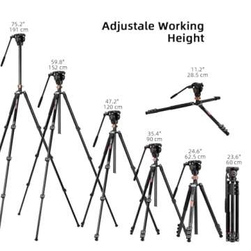 Cayer FP2450 Fluid Head Tripod, 75 inches Aluminium Video Tripod, 4-Section Compact Camera Tripod Monopod with Fluid Head for DSLR Camera, Camcorder, Load Capacity up to 13.2 Pounds