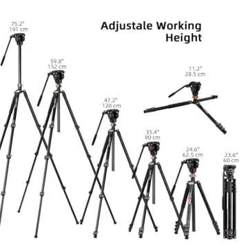 Cayer FP2450 Fluid Head Tripod, 75 inches Aluminium Video Tripod, 4-Section Compact Camera Tripod Monopod with Fluid Head for DSLR Camera, Camcorder, Load Capacity up to 13.2 Pounds