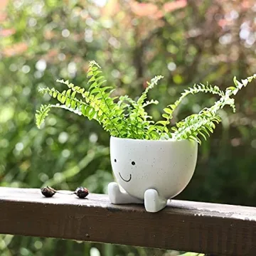 AIMEBBY Face Flower Pot for Indoor Plants 4 Inches