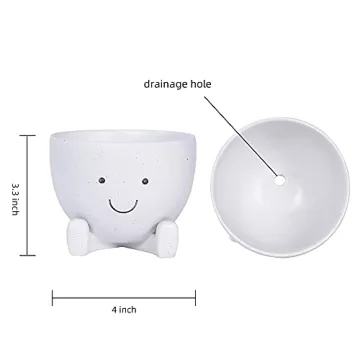 AIMEBBY Face Flower Pot for Indoor Plants 4 Inches
