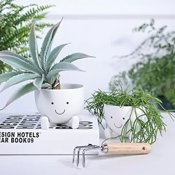 AIMEBBY Face Flower Pot for Indoor Plants 4 Inches