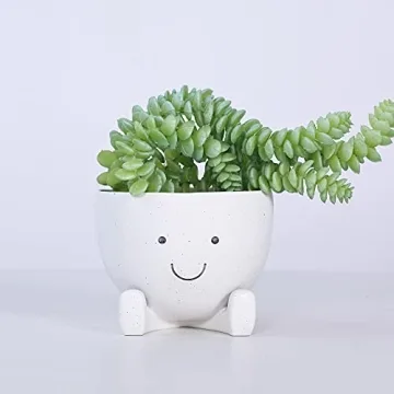 AIMEBBY Face Flower Pot for Indoor Plants 4 Inches