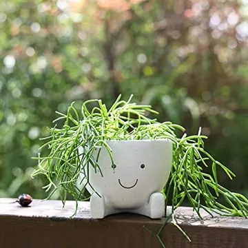 AIMEBBY Face Flower Pot for Indoor Plants 4 Inches