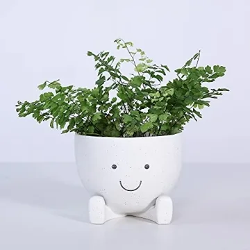 AIMEBBY Face Flower Pot for Indoor Plants 4 Inches