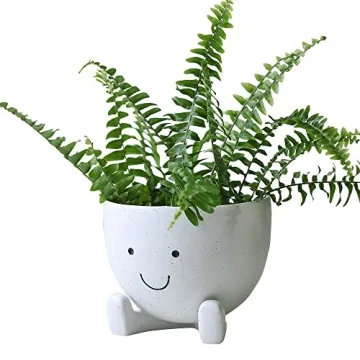 AIMEBBY Face Flower Pot for Indoor Plants 4 Inches
