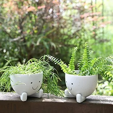 AIMEBBY Face Flower Pot for Indoor Plants 4 Inches