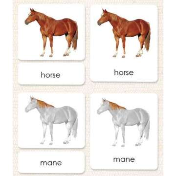 Parts of the Horse 3-Part Photo Cards for Engaging Learning