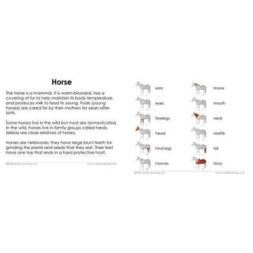 Engaging Parts of the Horse 3-Part Photo Cards