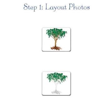 Engaging Parts of the Horse 3-Part Photo Cards