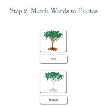 Engaging Parts of the Horse 3-Part Photo Cards