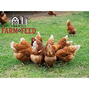 FAMILY FARM AND FEED | Oyster Shell | Small Pet | Young and Adult | Granular | 4 Pounds