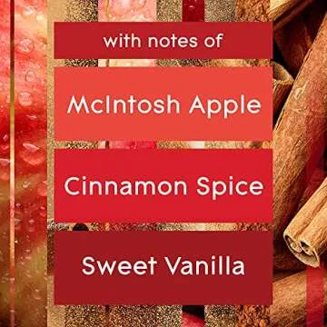 Glade PlugIns Air Freshener Starter Kit, Scented and Essential Oils for Home and Bathroom, Apple Cinnamon, 4.02 Fl Oz, 2 Warmers and 6 Refills