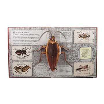 Bugs: A Stunning Pop-up Look at Insects, Spiders, and Other Creepy-Crawlies
