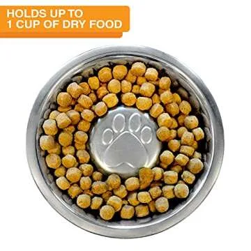 Neater Pet Brands Stainless Steel Slow Feed Bowl for Dogs or Cats - Fits in Neater Feeders and Other Raised Feeders (1 Cup)