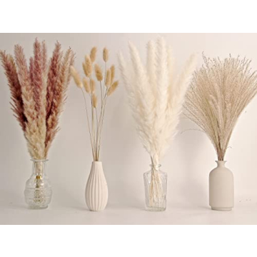Natural Dried Pampas Grass Decor for Weddings and Home