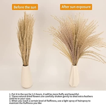 Natural Dried Pampas Grass Decor for Weddings and Home
