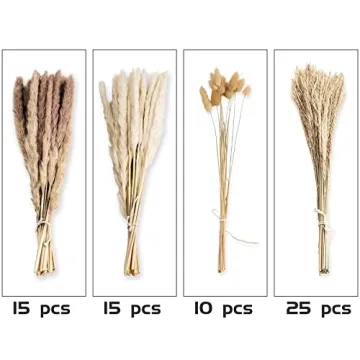 Natural Dried Pampas Grass Decor for Weddings and Home