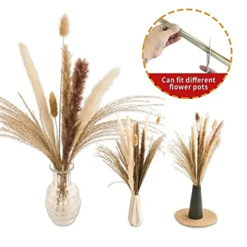 Natural Dried Pampas Grass Decor for Weddings and Home