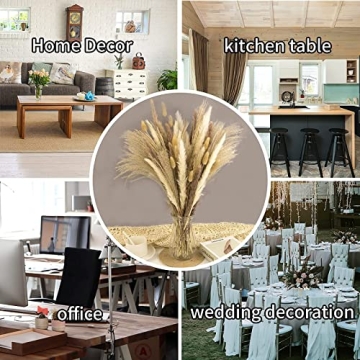 Natural Dried Pampas Grass Decor for Weddings and Home
