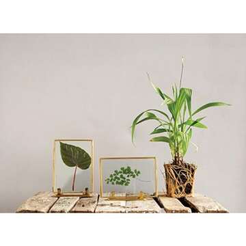 Creative Co-Op Glass & Brass Photo Frames with Stands (Set of 2 Styles)
