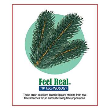 National Tree Company Pre-Lit Artificial Christmas Wreath, Green, Colonial Fir, White Lights, Decorated with Pine Cones, Berry Clusters, Christmas Collection, 24 Inches