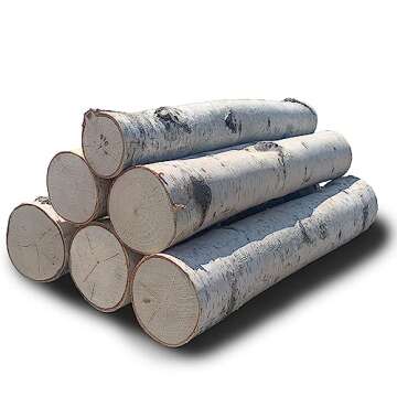 Wilson Decorative White Birch Logs, Natural Bark Wood Home Décor - 15.5-17.5" in Length 1.5"-4" Dia...