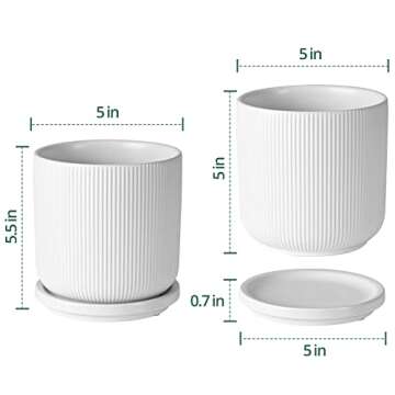 Ceramic Planter Pots, 5 Inch Plant Pots with Drainage Holes and Saucers, Small Indoor Modern Cylinder Flower Pots for All Houseplants, Succulents, White, Set of 2 5inch+ 5inch