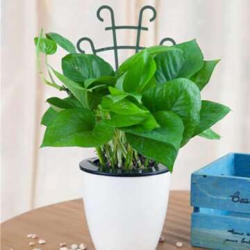 UWIOFF Trellis for Potted Plants, Mini Garden Trellis for Climbing Plants Stackable Plant Trellis In...