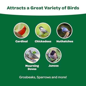 Kaytee Wild Bird Food Basic Seed Blend, 5 lb