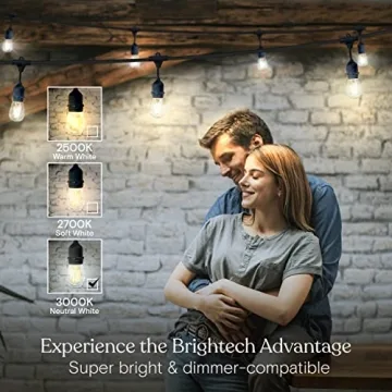 Brightech Ambience Pro Waterproof LED Outdoor String Lights